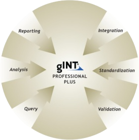 gINT Professional Plus